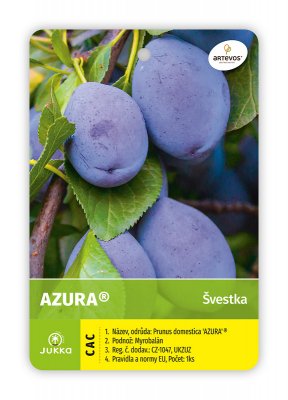 Švestka BLUE FROST® AZURA