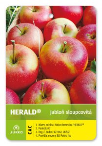 Jabloň sloupovitá HERALD - kontejner