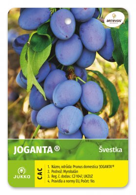 Švestka JOGANTA - kontejner