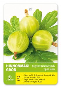 Angrešt stromkový bílý HINNONMÄKI GRÖN - kontejner