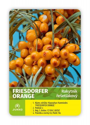 Rakytník řešetlákový FRIESDORFER ORANGE - samosprašný