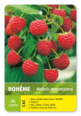 Maliník BOHÉME