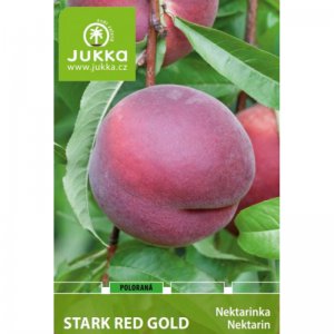 Nektarinka STARK RED GOLD - kontejner