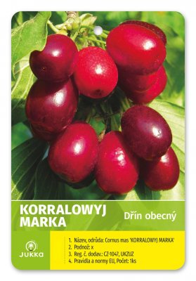 Dřín KORRALOWYJ MARKA