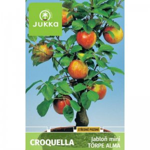 Jabloň zakrslá CROQUELLA