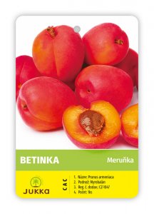 Meruňka BETINKA - kontejner