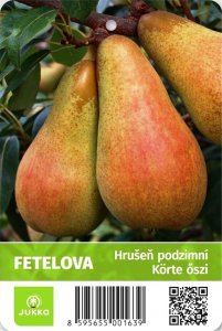Hrušeň FETELOVA