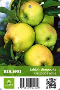 Jabloň sloupovitá BOLERO