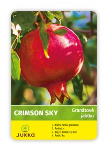 Granátové jablko CRIMSON SKY