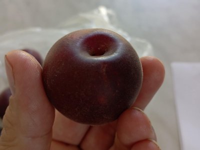 Švestkomeruňka APRISALI® - kontejner