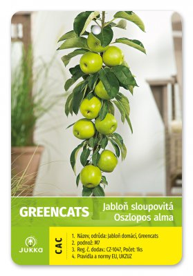 Jabloň sloupovitá GREENCATS - kontejner