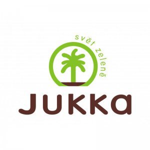 Pivoňka čínská - MONSIEUR JULES
