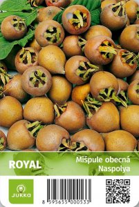 Mišpule ROYAL