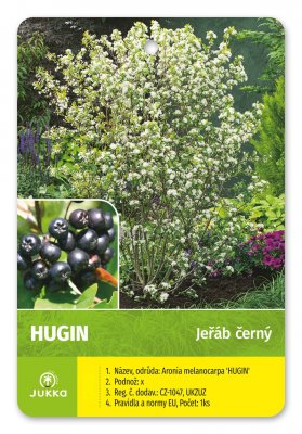 Jeřáb RUBINA (černý keř.) - kontejner