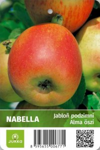 Jabloň NABELLA