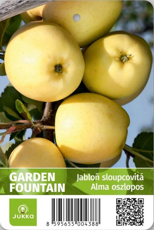 Jabloň sloupovitá GARDEN FOUNTAIN Jukka.cz