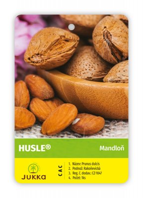 Mandloň HUSLE - kontejner