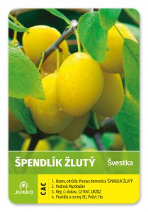 Švestka ŠPENDLÍK ŽLUTÝ - kontejner