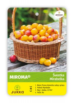 Švestka - MIROMA® kontejner