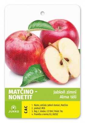 Jabloň MATČINO kontejner