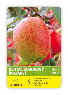 Jabloň ŘEHTÁČ SOUDKOVÝ (KOZÁRY) kontejner