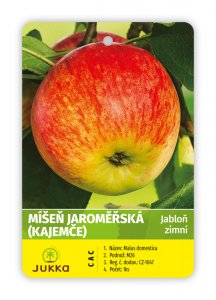 Jabloň MÍŠEŇ JAROMĚŘSKÁ kontejner