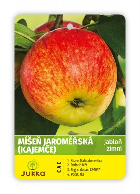 Jabloň MÍŠEŇ JAROMĚŘSKÁ kontejner