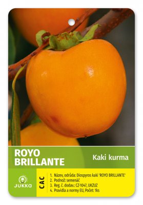 Kaki churma ROYO BRILLANTE 40-60cm - kontejner