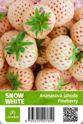 Ananasové jahody SNOW WHITE