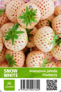 Ananasové jahody SNOW WHITE
