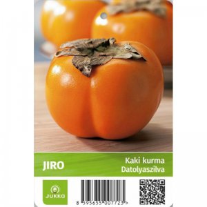 Kaki churma JIRO - kontejner