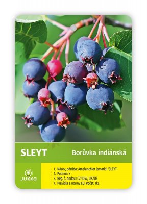 Indiánská borůvka Amelanchier SLEYT