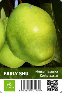 Asijská hrušeň EARLY SHU - kontejner