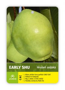 Asijská hrušeň EARLY SHU - kontejner