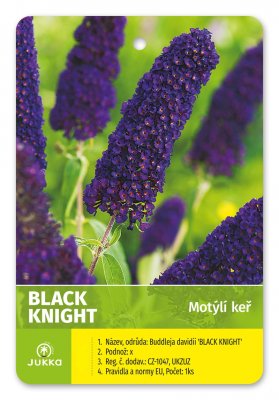 Motýlí keř - BLACK KNIGHT