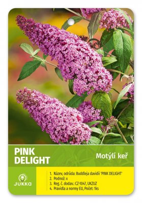 Motýlí keř - PINK DELIGHT