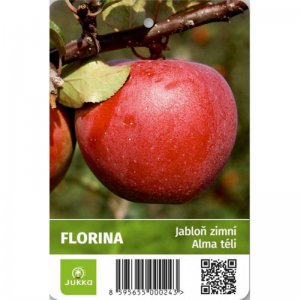 Jabloň FLORINA