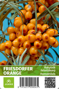 Rakytník řešetlákový FRIESDORFER ORANGE - samosprašný