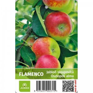 Jabloň sloupovitá FLAMENCO