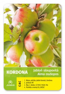 Jabloň sloupovitá KORDONA - kontejner