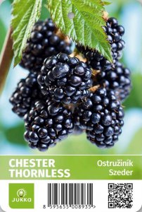 Ostružiník CHESTER THORNLESS