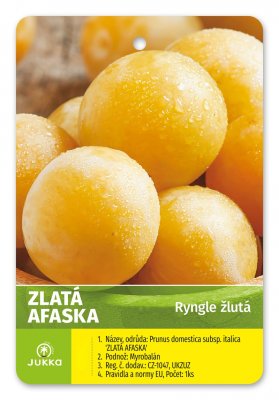 Ryngle ZLATÁ AFASKA - kontejner