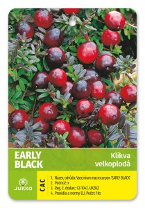 Klikva EARLY BLACK