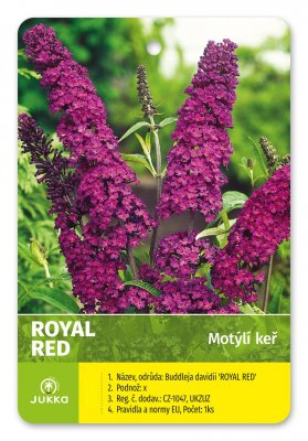 Motýlí keř - ROYAL RED