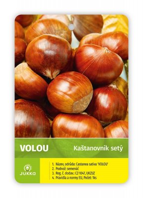 Kaštan jedlý - VOLOU