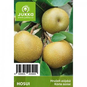 Asijská hrušeň HOSUI