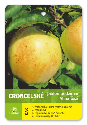 Jabloň CRONCELSKÉ