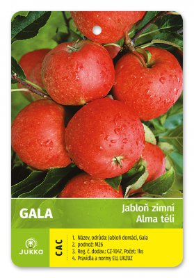 Jabloň GALA - kontejner