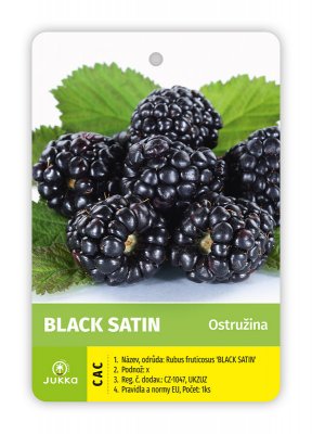 Ostružiník BLACK SATIN