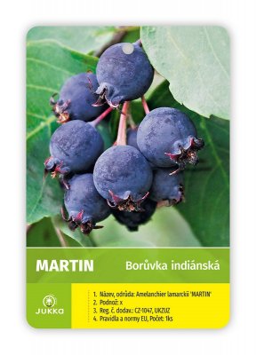 Indiánská borůvka Amelanchier MARTIN